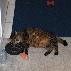 Meet your Posher, Sue